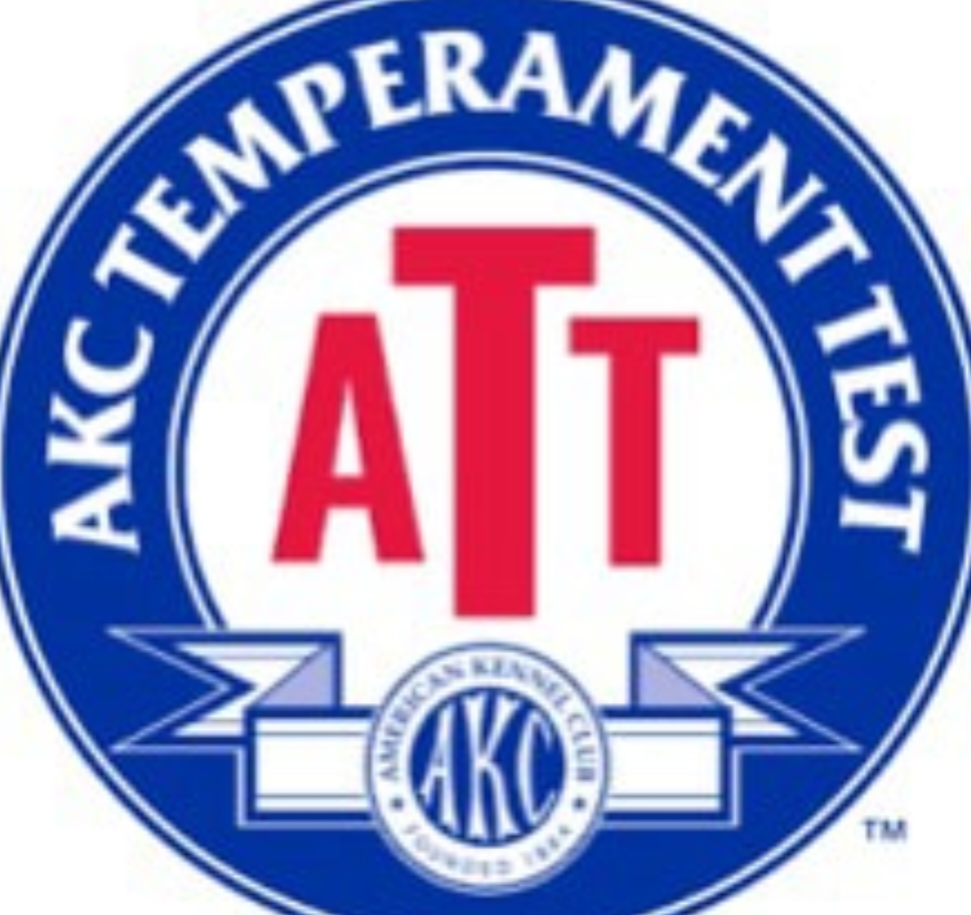 AKC Temperament Cert...Best Dog Training in Jonesboro, Arkansas.